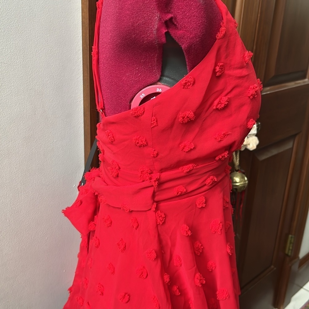 Lulu’s  NWT  Swiss dot  Red  spaghetti strap halter dress  sheer/ lining  size S - Picture 6 of 13